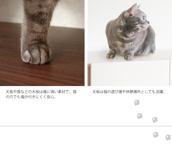 猫用品収納